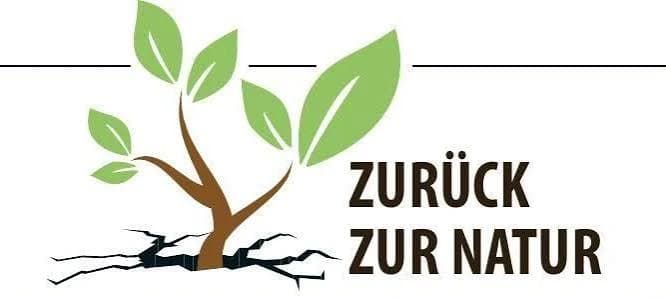 Zurück zur Natur: plant growing out of cracks